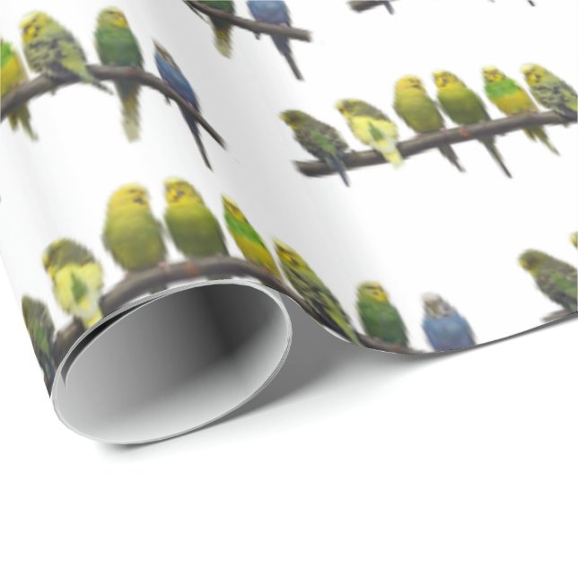 Odd One Out Wrapping Paper (choose colour) (Roll Corner)