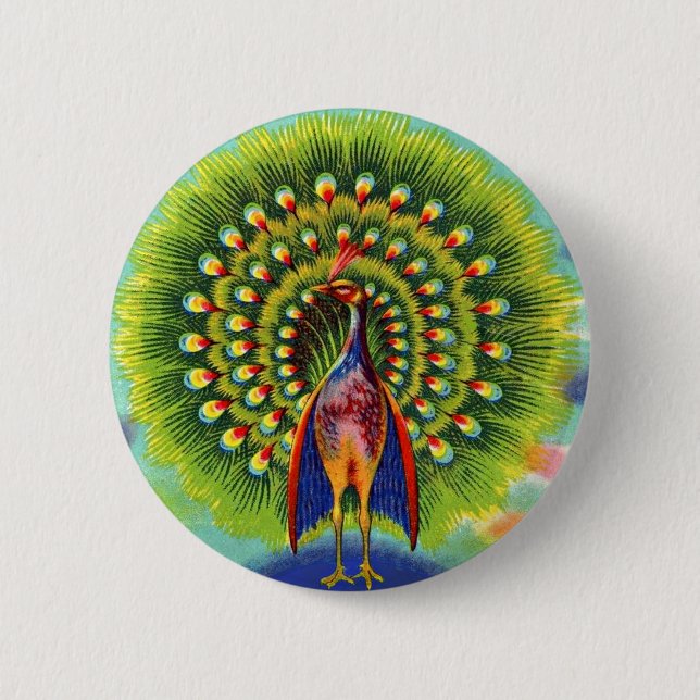  odd peacock print 6 cm round badge (Front)
