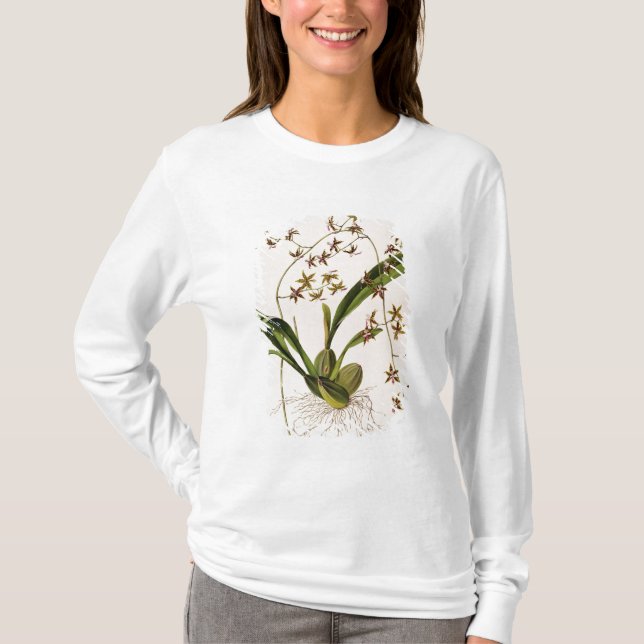 Odontoglossum Hastatum T-Shirt (Front)