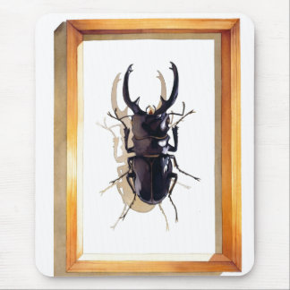"Odontolabis d. subita" Stag Beetle Watercolor Mouse Pad