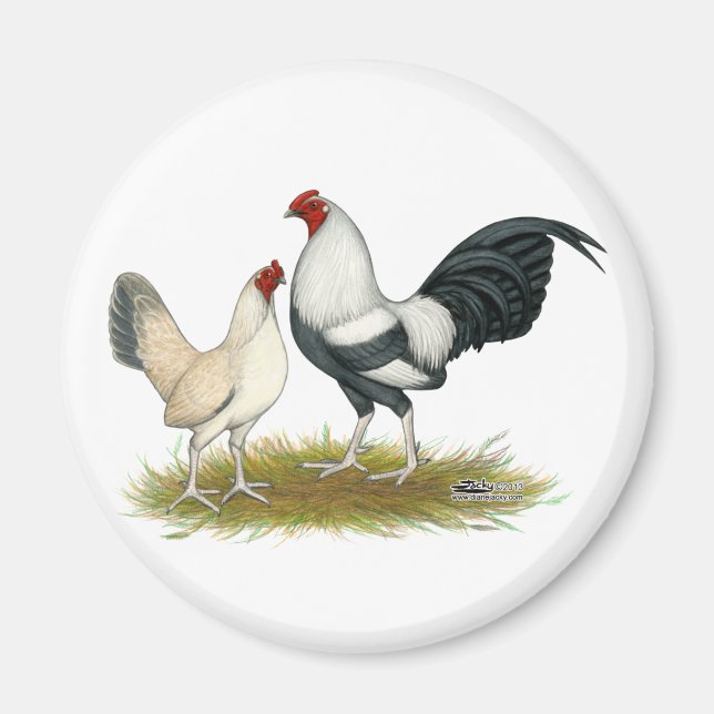 OE Game Blue Silver Wheaten Magnet (Front)