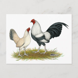 OE Game Blue Silver Wheaten Postcard