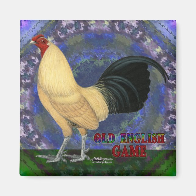 OEG Bantam Cream Buttercup Magnet (Front)