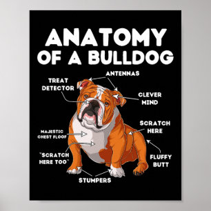 Of A Bulldog Poster