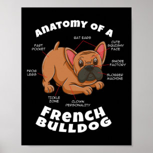Of A French Bulldog Poster