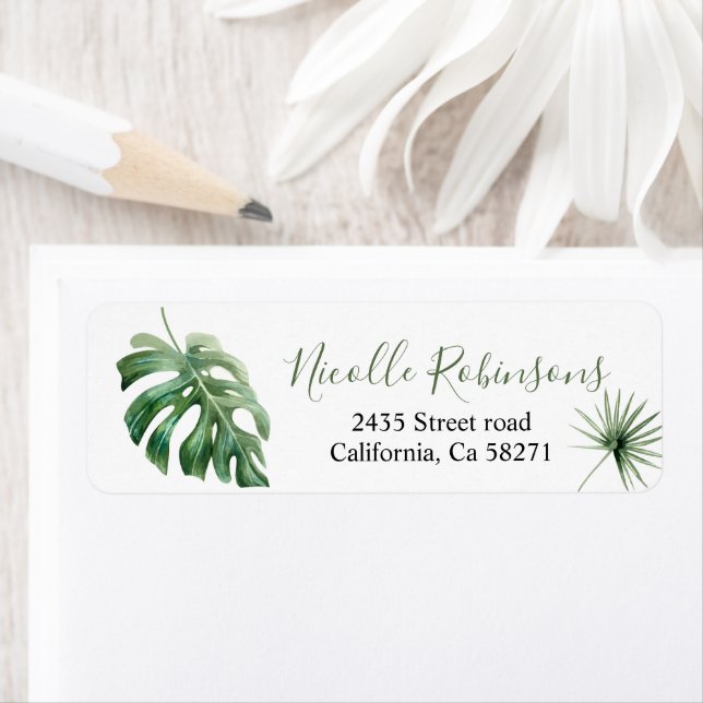 of direction Monstera tropical (Insitu)