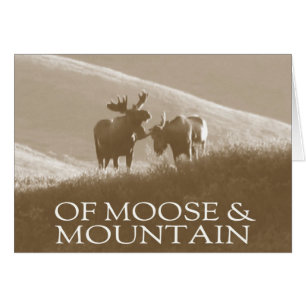 Of Moose & Mountain Blank Card