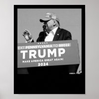 Of Trump Bullet Mid Air