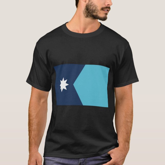 of Unity of Minnesota state flag Horizontal Boxy T-Shirt (Front)