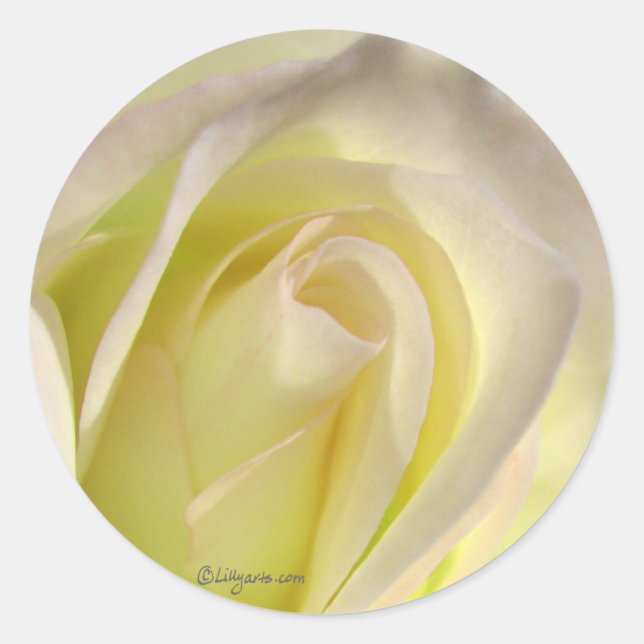 Off White Rose Sticker Envelope Closure (Front)