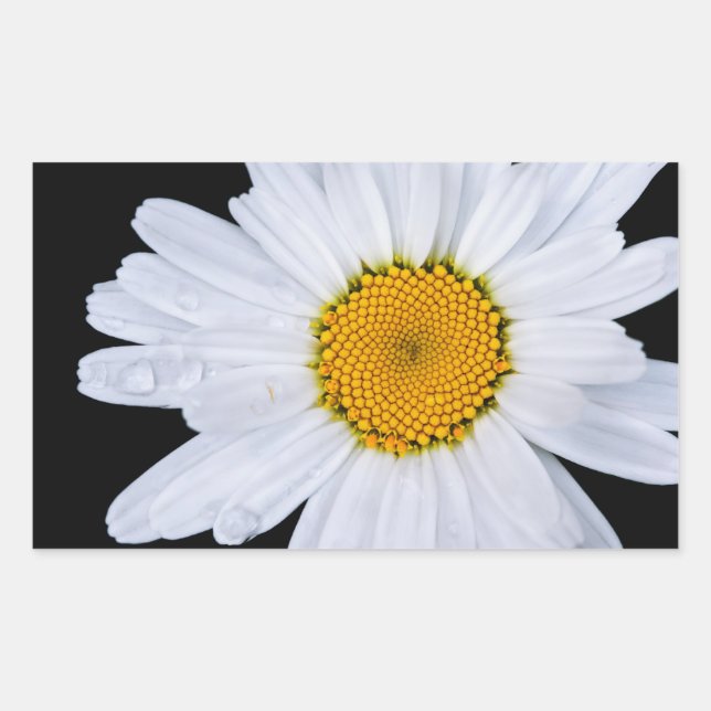 offer rectangular sticker (Front)