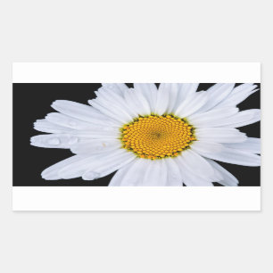 offer rectangular sticker