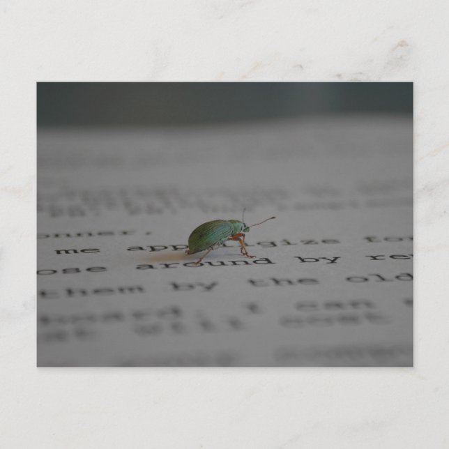 Office bug postcard (Front)