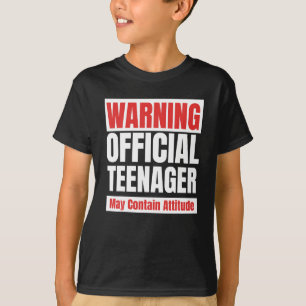 Official Teenager Funny 13 Birthday Gift 13th T-Shirt