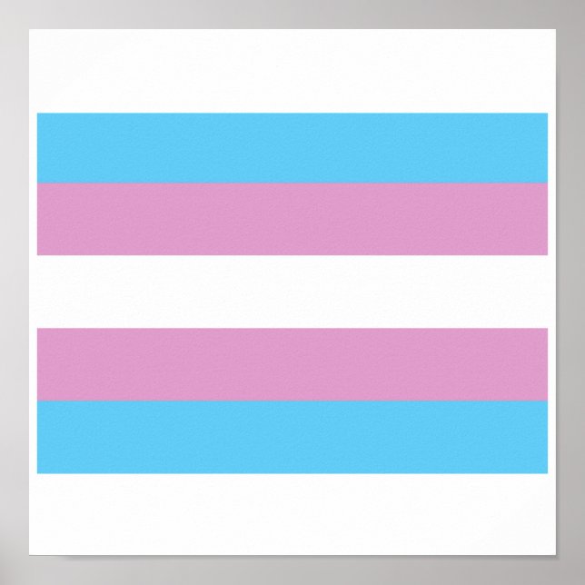 OFFICIAL TRANSGENDER PRIDE FLAG POSTER (Front)