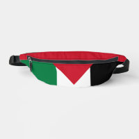 officially the State of Palestine country flag