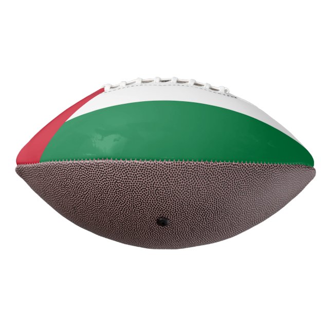 officially the State of Palestine country flag Football (Rotated 270)