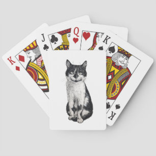 Ogie the cat playing cards