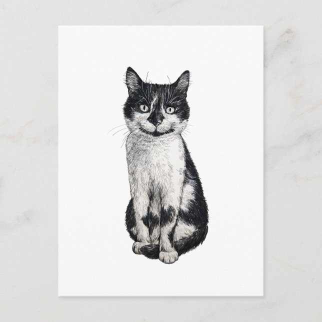 Ogie the cat postcard (Front)