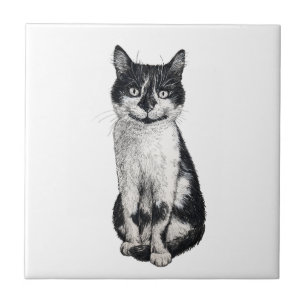 Ogie the cat tile
