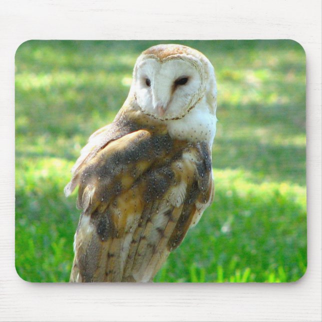 Oh Barn Owl Mouse Pad (Front)
