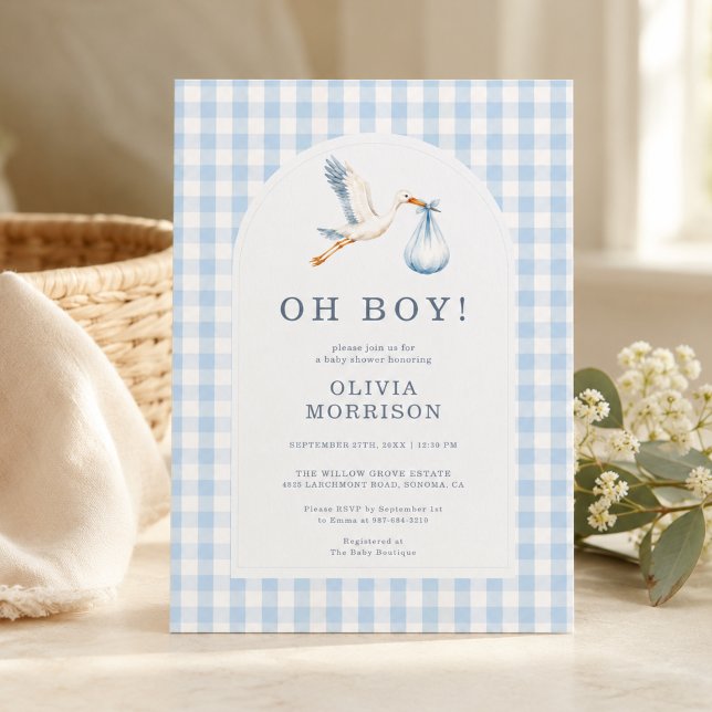 Oh Boy Stork Blue Gingham Baby Shower Invitation (Creator Uploaded)