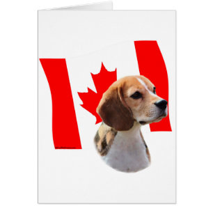 Oh Canada....and Beagles.