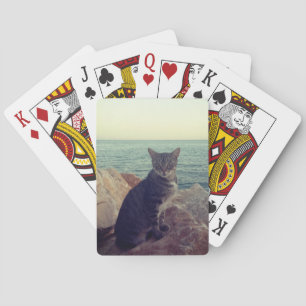 Oh cat and sunset playing cards