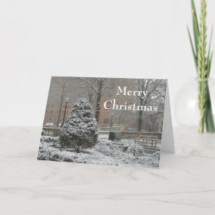 Oh Christmas Tree Greeting Card