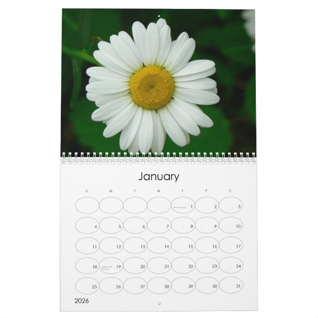 Oh Daisy Wall Calendar (Jan 2026)