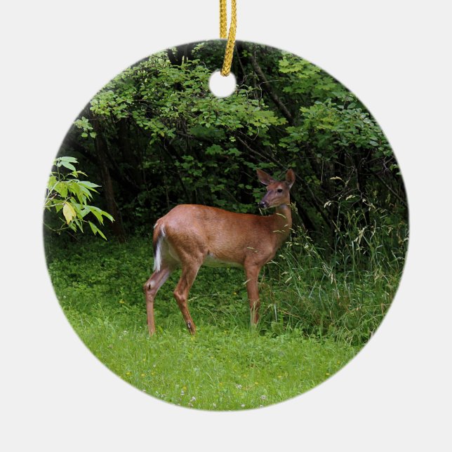Oh Deer! Ceramic Tree Decoration (Front)