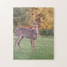 Oh Deer! Jigsaw Puzzle