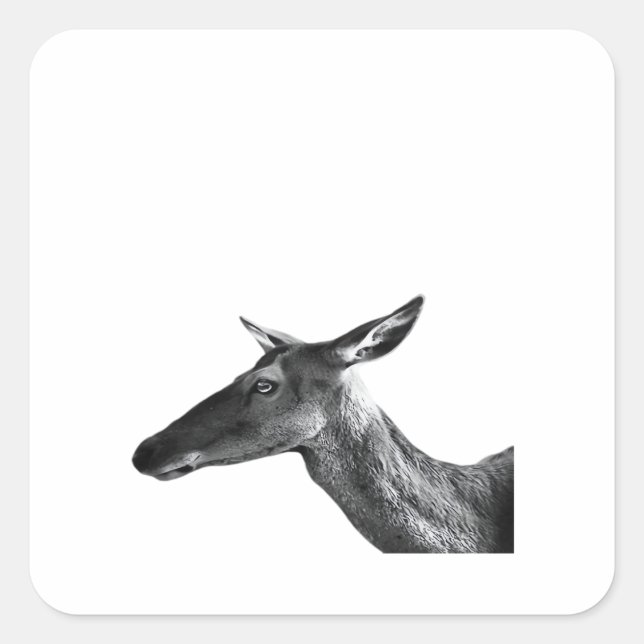 Oh Deer Modern Aesthetic Vibe  Square Sticker (Front)