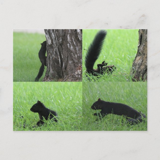 Oh geez post card (Front)