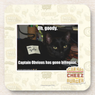 Oh, goody. coaster