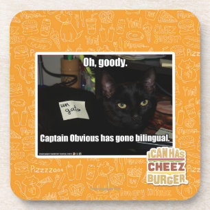 Oh, goody. coaster