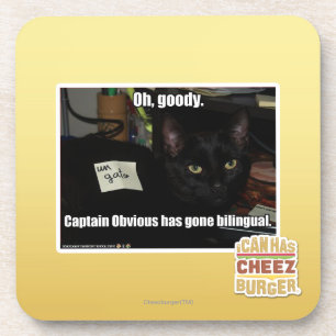 Oh, goody. coaster