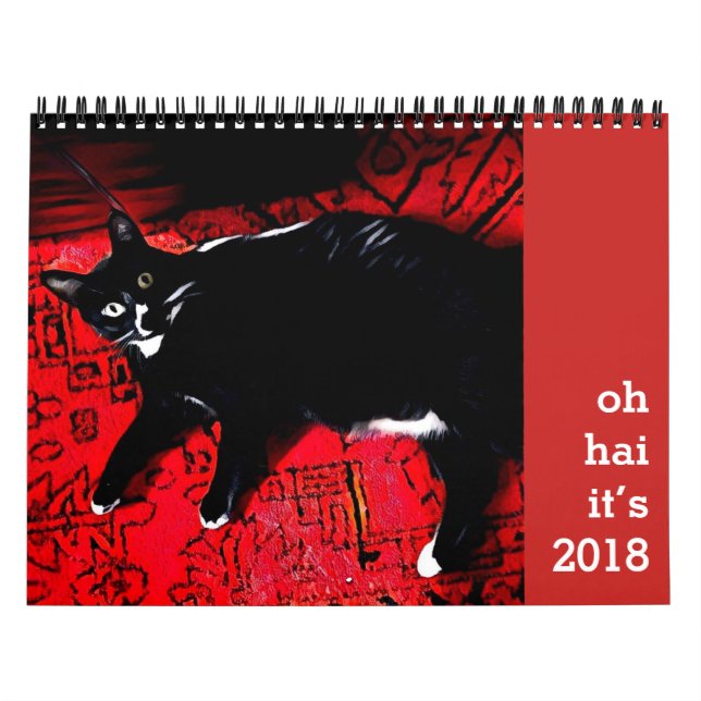Oh Hai Calendar (Cover)