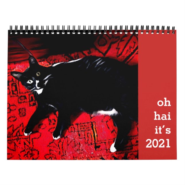Oh Hai Cat Calendar (Cover)