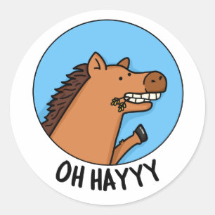 Oh Hayyyy Funny Horse Pun  Classic Round Sticker