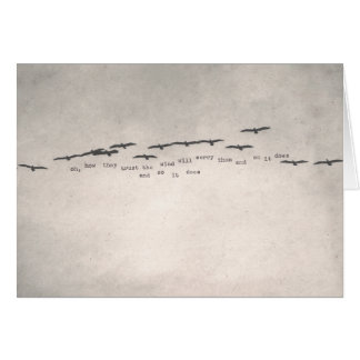 "oh, how they trust"