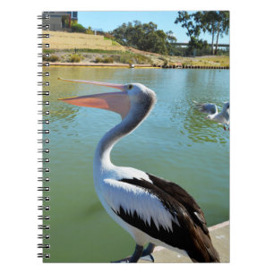 Oh Im A Happy Pelican Tra Lah, Notebook