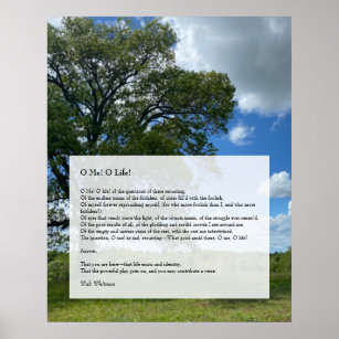 Oh Me! Oh Life! Walt Whitman Poem, Tree & Blue Sky Poster