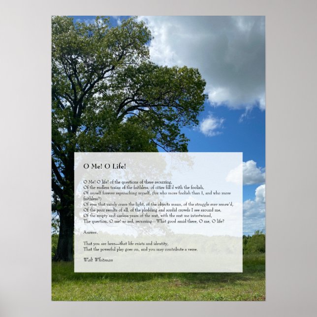 Oh Me! Oh Life! Walt Whitman Poem, Tree & Blue Sky Poster (Front)