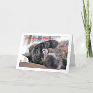 Oh no, not another Birthday! Cat Happy Birthday Card