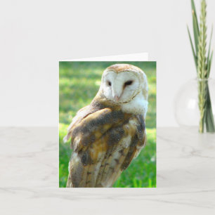 Oh Owl Blank Card