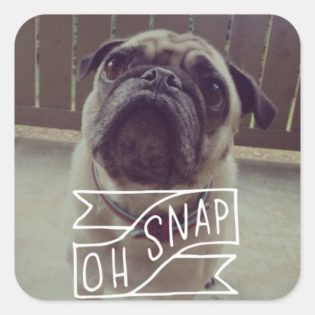 Oh Snap! Sticker (Front)