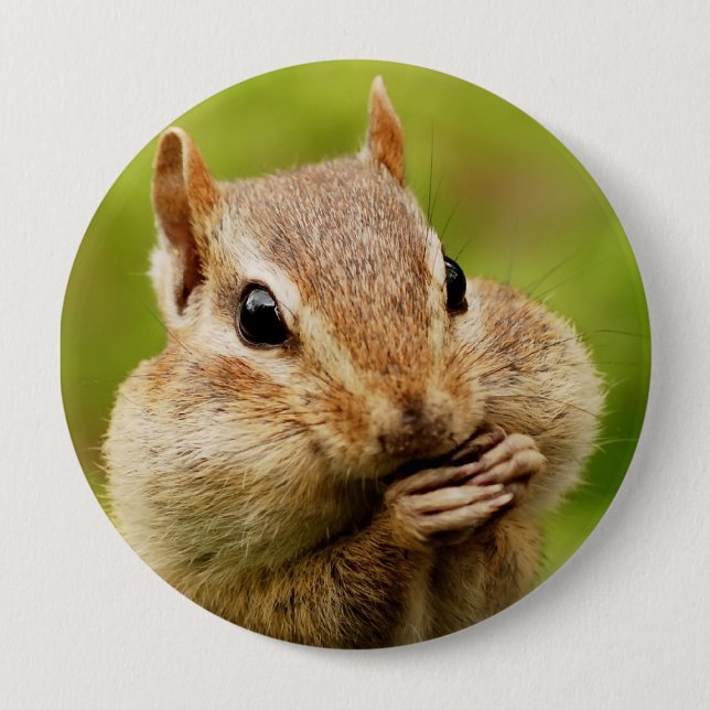 Oh So Cheeky Chipmunk Round Button (Front)