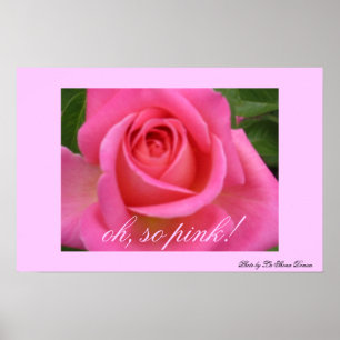 oh, so pink! poster