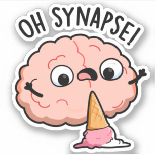 Oh Synapse Funny Brain Pun 